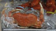 Leading Brown Crab Exporter Ireland